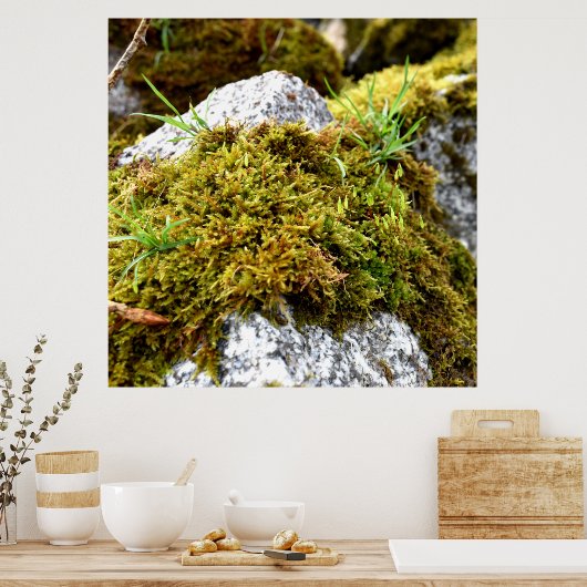 Poster Mosses (Cuisine)