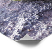 Poster Mosses (Coin)