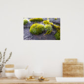 Poster Mosses (Cuisine)