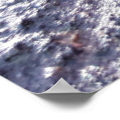 Poster Mosses (Coin)