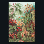 Poster Mosses, Muscinae Laubmoose par Ernst Haeckel<br><div class="desc">Muscinae Laubmoose par Ernst Haeckel Poster Plante Vintage</div>