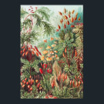 Poster Mosses, Muscinae Laubmoose par Ernst Haeckel<br><div class="desc">Muscinae Laubmoose par Ernst Haeckel Poster Plante Vintage</div>