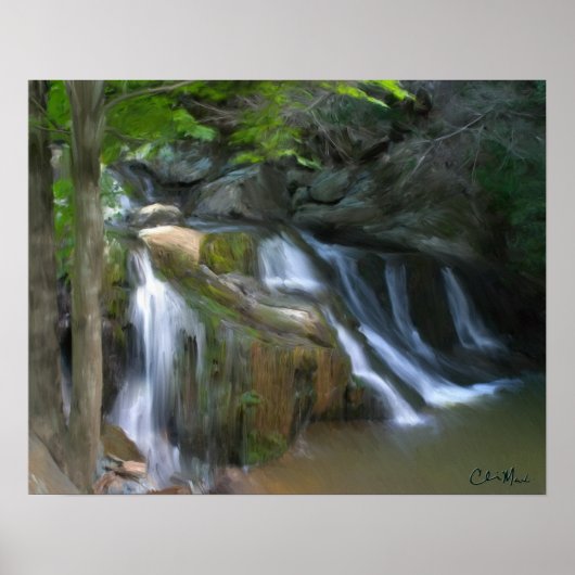 Poster Mossy Falls - Peinture (Devant)