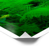 Poster Mossy Forest Stream in Killarney National Park (Coin)