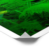 Poster Mossy Forest Stream in Killarney National Park (Coin)