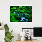 Poster Mossy Forest Stream in Killarney National Park (Bureau à domicile)