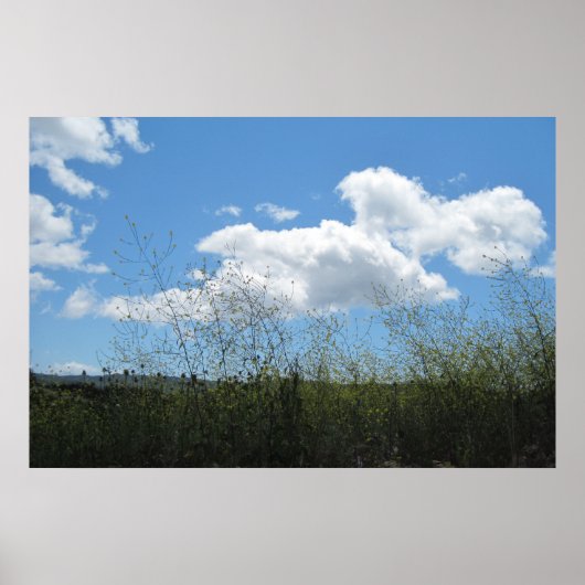 Poster: Mosterd in de wolken Poster (Voorkant)