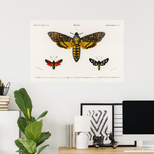 Poster Moth Illustration (Thuiskantoor)
