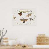 Poster  Moth Illustration (Keuken)
