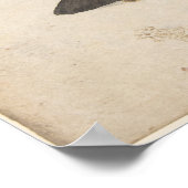 Poster Moth Illustration (Hoek)