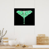 Poster Moth lunaire verte illustrée (Cuisine)