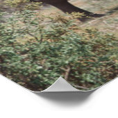 Poster Mother éléphant walking with elephant calf (Coin)