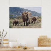 Poster Mother éléphant walking with elephant calf (Cuisine)