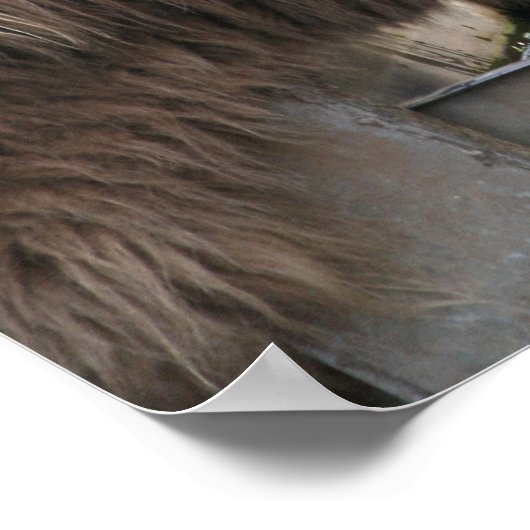 Poster Mother Love Imprimer (Coin)