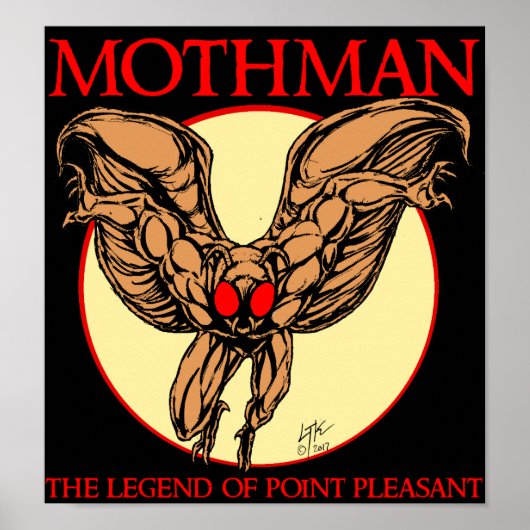 Poster Mothman : La Légende du Point Agréable (Devant)