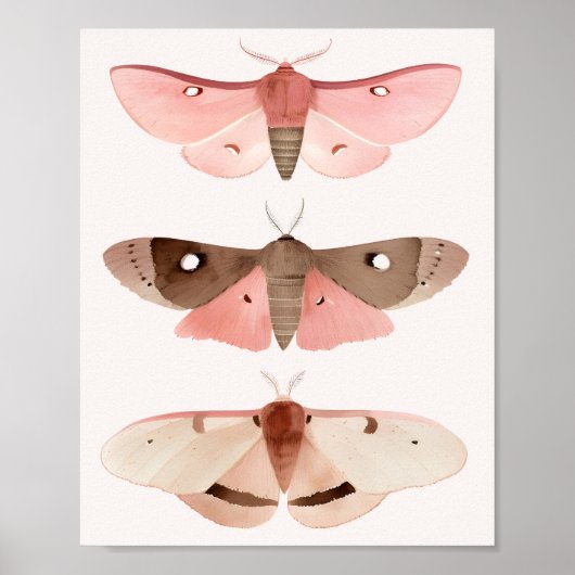 Poster Moths pour bonne chance (Devant)