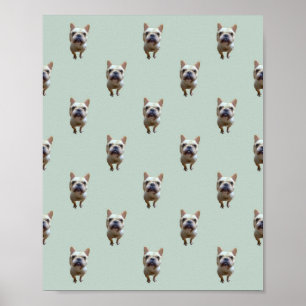 Poster motif_2_bouledogue français_2_affiche mate