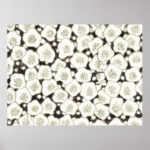 Poster Motif Antique Fleur Blanche Japonaise