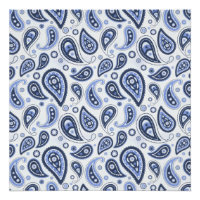 Motif Blue Paisley