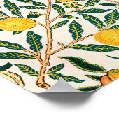 Poster Motif botanique vintage (Coin)