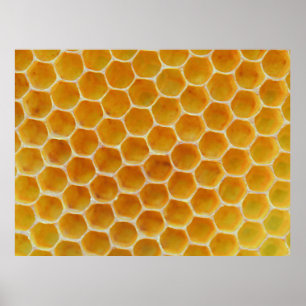 Poster motif carré Brown et blanc