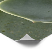 Poster Motif de cactus (Coin)