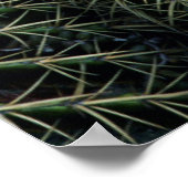 Poster Motif de cactus (Coin)