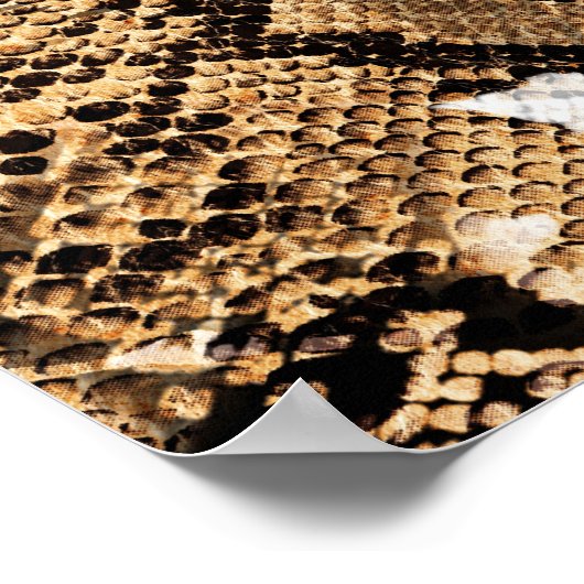 Poster Motif de camouflage coloré Leopard Zebra (Coin)