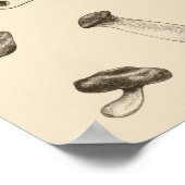 Poster Motif de champignons (Coin)