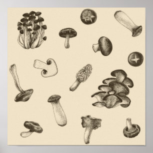 Poster Motif de champignons
