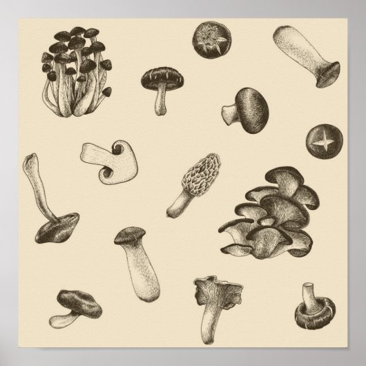 Poster Motif de champignons (Devant)