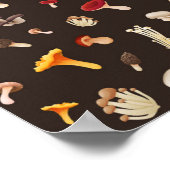 Poster Motif de champignons (Coin)