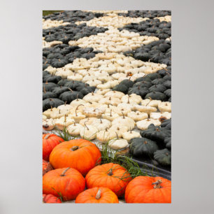 Poster Motif de citrouille et de courge, Allemagne