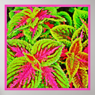 Poster Motif de feuilles de la nature vibrante