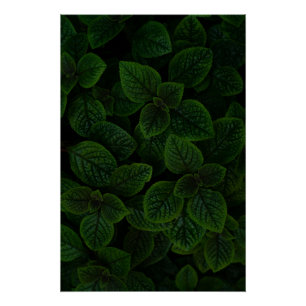 Poster Motif de feuilles texturées vert émeraude foncé