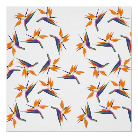 Poster Motif de fleur d'oiseau de paradis (Devant)