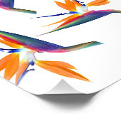 Poster Motif de fleur d'oiseau de paradis (Coin)