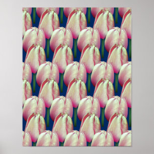 Poster Motif de fleurs de tulipes roses