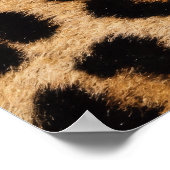 Poster Motif de fourrure d'animal jaguar (Coin)