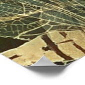 Poster Motif de libellules majestueux (Coin)