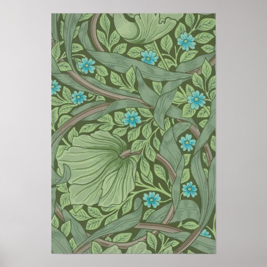 Poster Motif de papier peint, exemple avec Forget-Me-Nots (Devant)