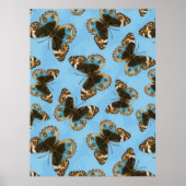 Poster Motif de papillon de pensée bleu (Devant)