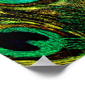 Poster Motif de plume Peacock Or (Coin)