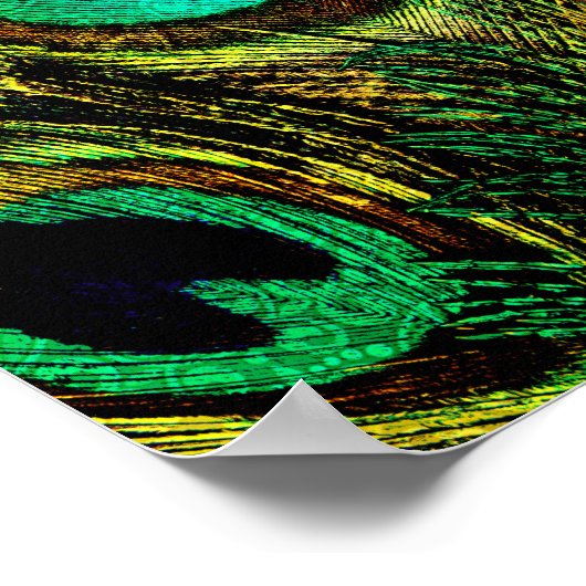 Poster Motif de plume Peacock Or (Coin)