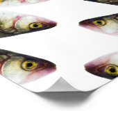 Poster motif de poisson Abstrait (Coin)