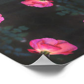 Poster Motif de roses roses (Coin)