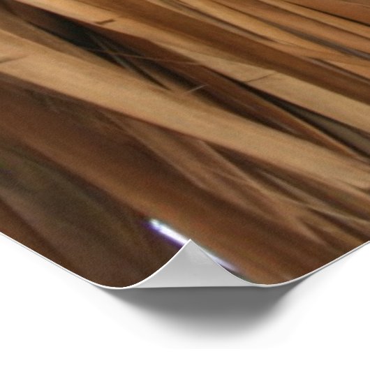 Poster motif de toit Brown (Coin)