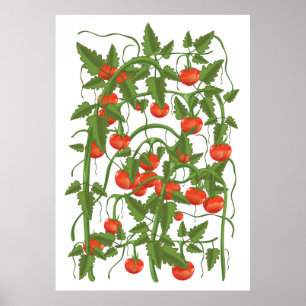 Poster Motif de tomates