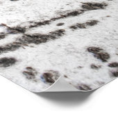 Poster Motif d'écorce de bouleau (Coin)