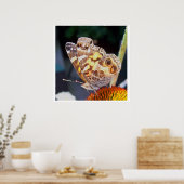 Poster Motif des papillons (Cuisine)